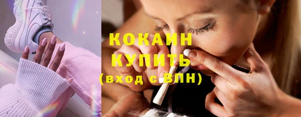прущий лед Алзамай