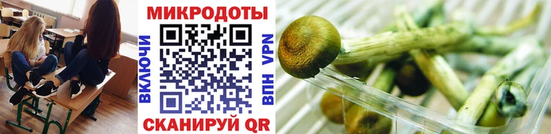 Псилоцибиновые грибы Magic Shrooms  Пыталово 