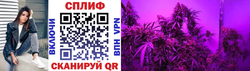 Шишки марихуана LSD WEED  гидра ссылки  Пыталово  купить закладку 